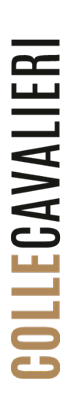 Logo Colle Cavalieri di Cantina Tollo Vertical